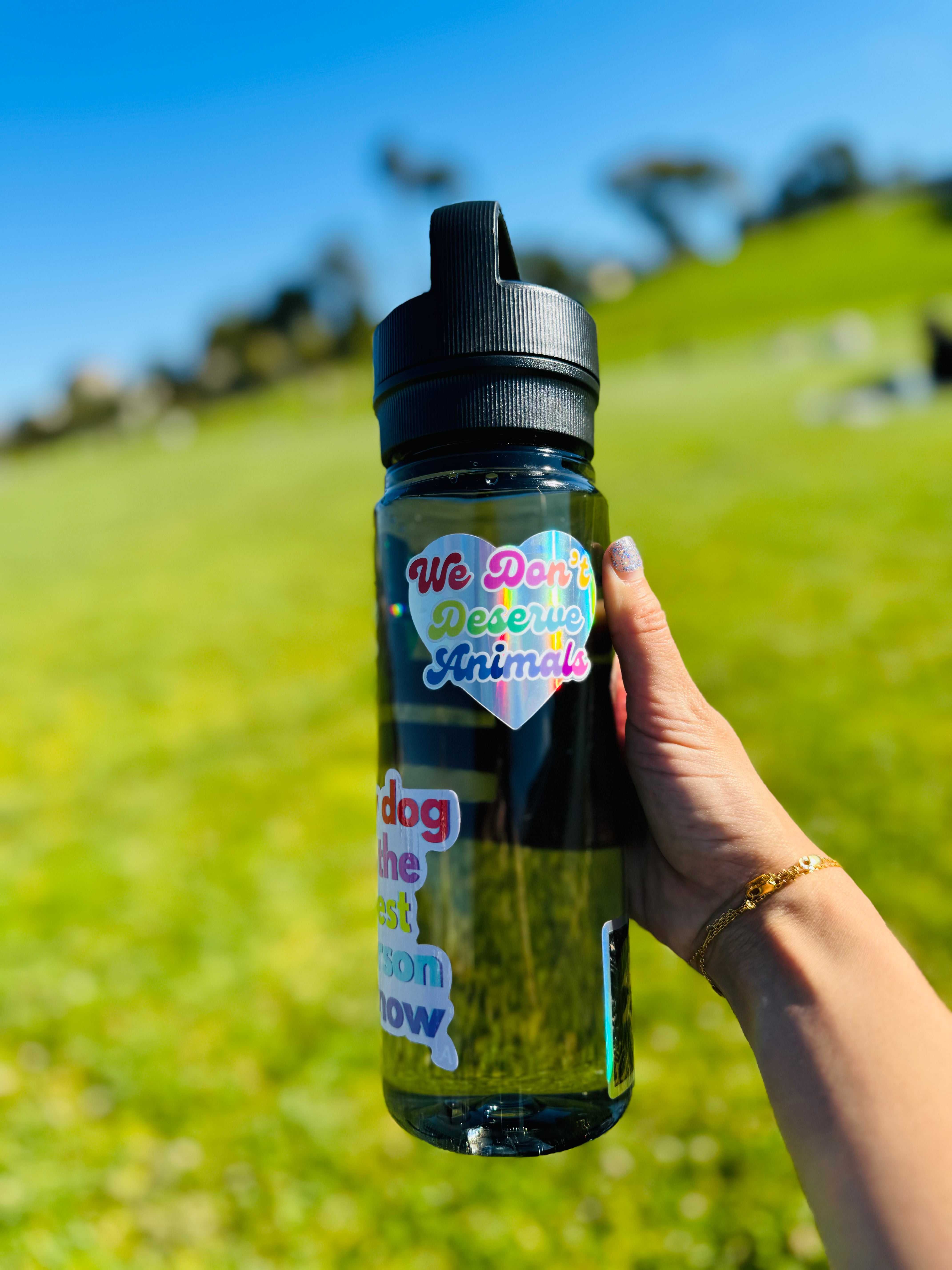 Don't Deserve Animals STICKER